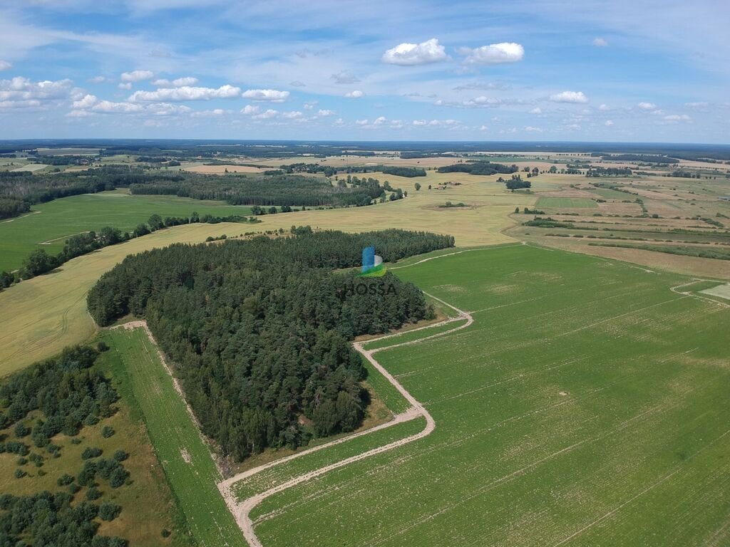 Dom na sprzedaż Szkotowo  110m2 Foto 5