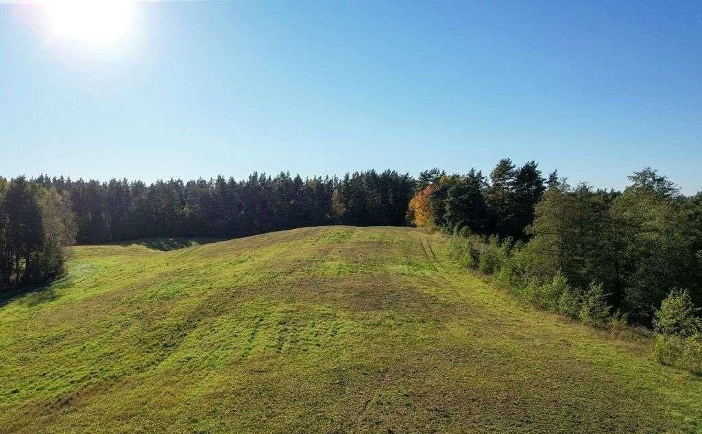 Działka rolna na sprzedaż Ramsowo  6 195m2 Foto 18