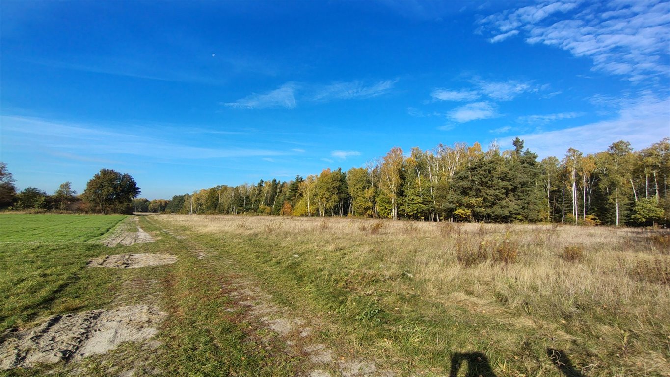 Działka budowlana na sprzedaż Brzozowica, Brzozowica  830m2 Foto 7