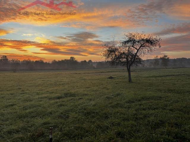 Działka budowlana na sprzedaż Krosno, Krościenko Niżne  877m2 Foto 2