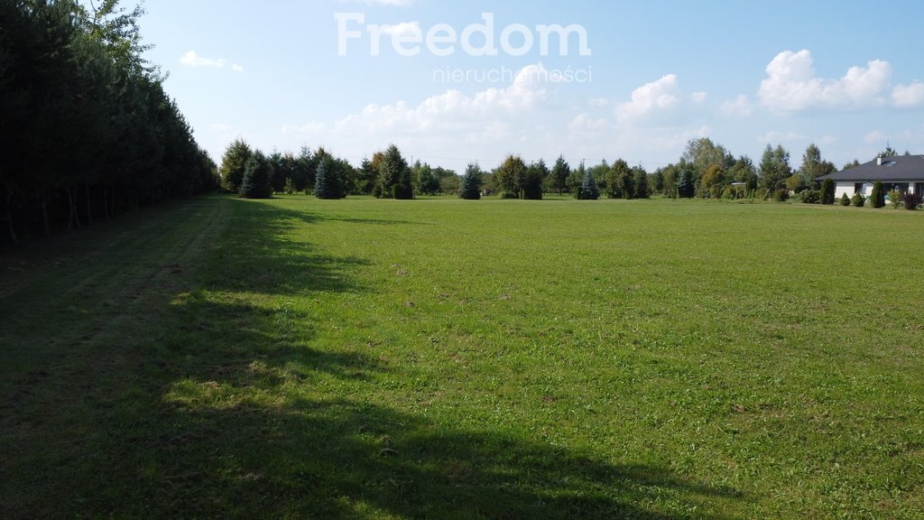 Działka siedliskowa na sprzedaż Moderówka  3 009m2 Foto 4