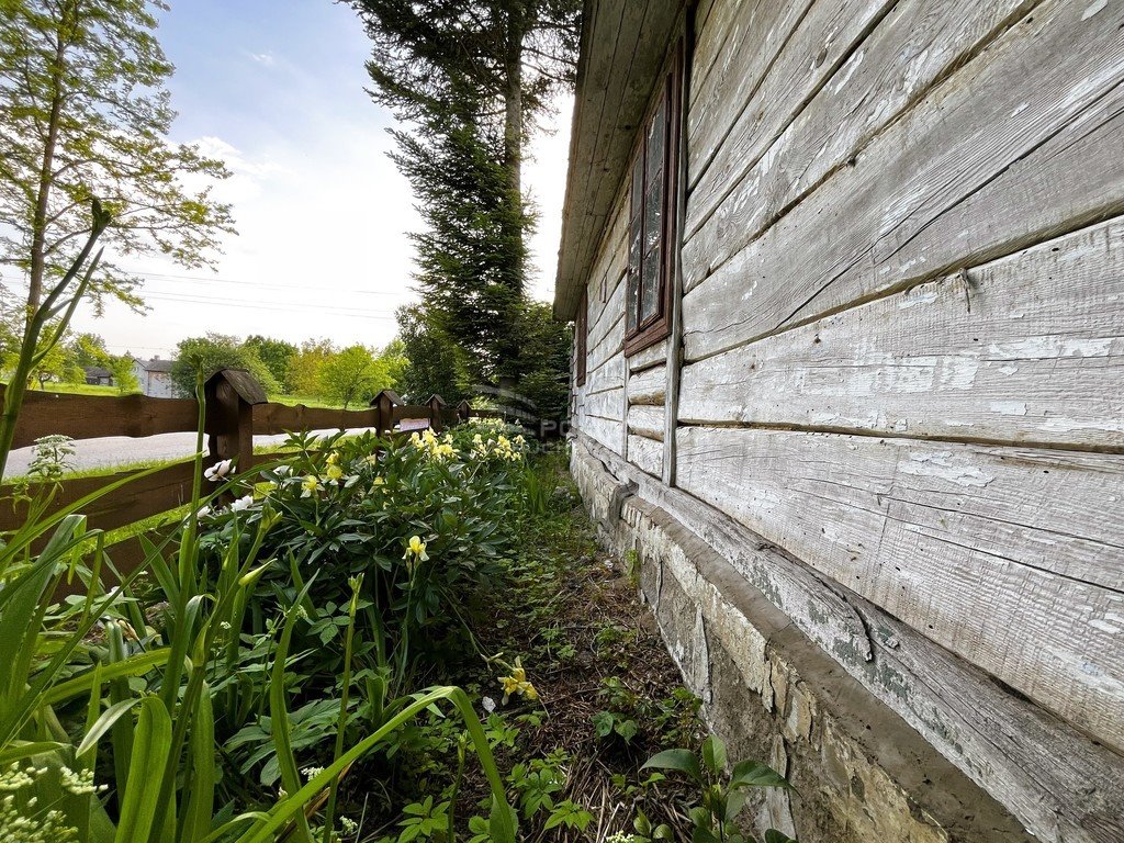 Działka budowlana na sprzedaż Staw Noakowski-Kolonia  4 700m2 Foto 5