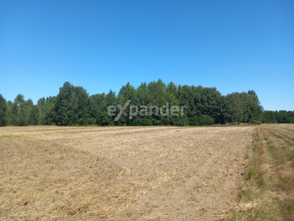 Działka rolna na sprzedaż Blinno  18 200m2 Foto 5