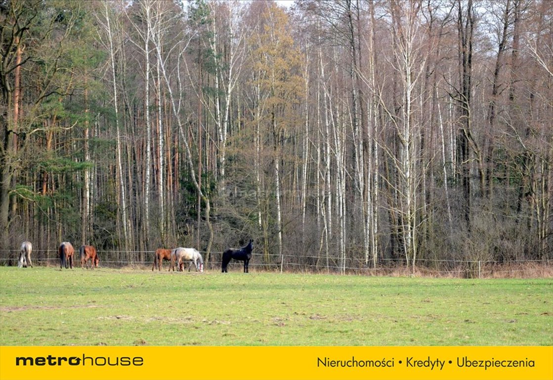 Działka inna na sprzedaż Leonów  8 470m2 Foto 12