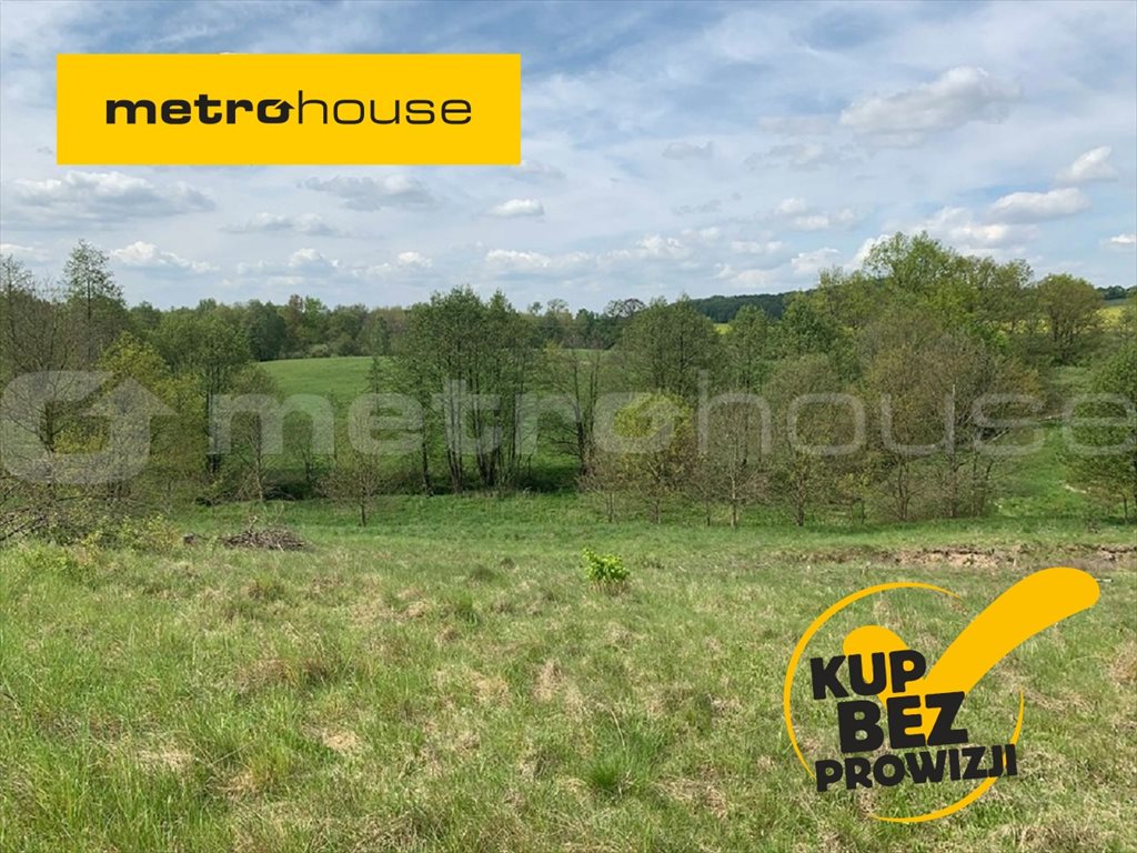 Działka inna na sprzedaż Trzepowo, Przywidz 1 002m2 Foto 1 Działka inna na sprzedaż Trzepowo, Przywidz 1 002m2 Foto 1