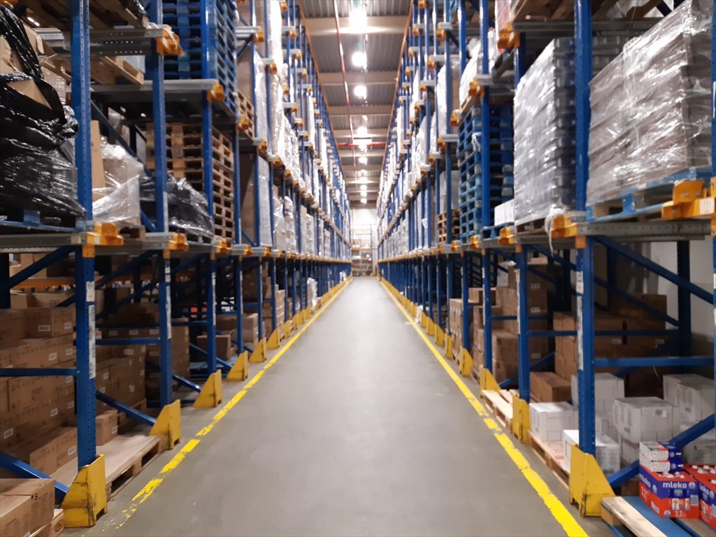 Magazyn 14 879 m² z biurem i chłodniami w Płońsku Płońsk  14 879m2 Foto 1