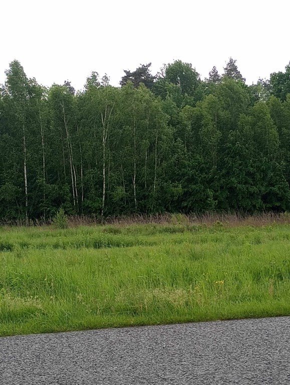 Działka 47 arów pod zabudowę zagrodową w Grodzisku Dolnym Grodzisko Dolne  4 720m2 Foto 1