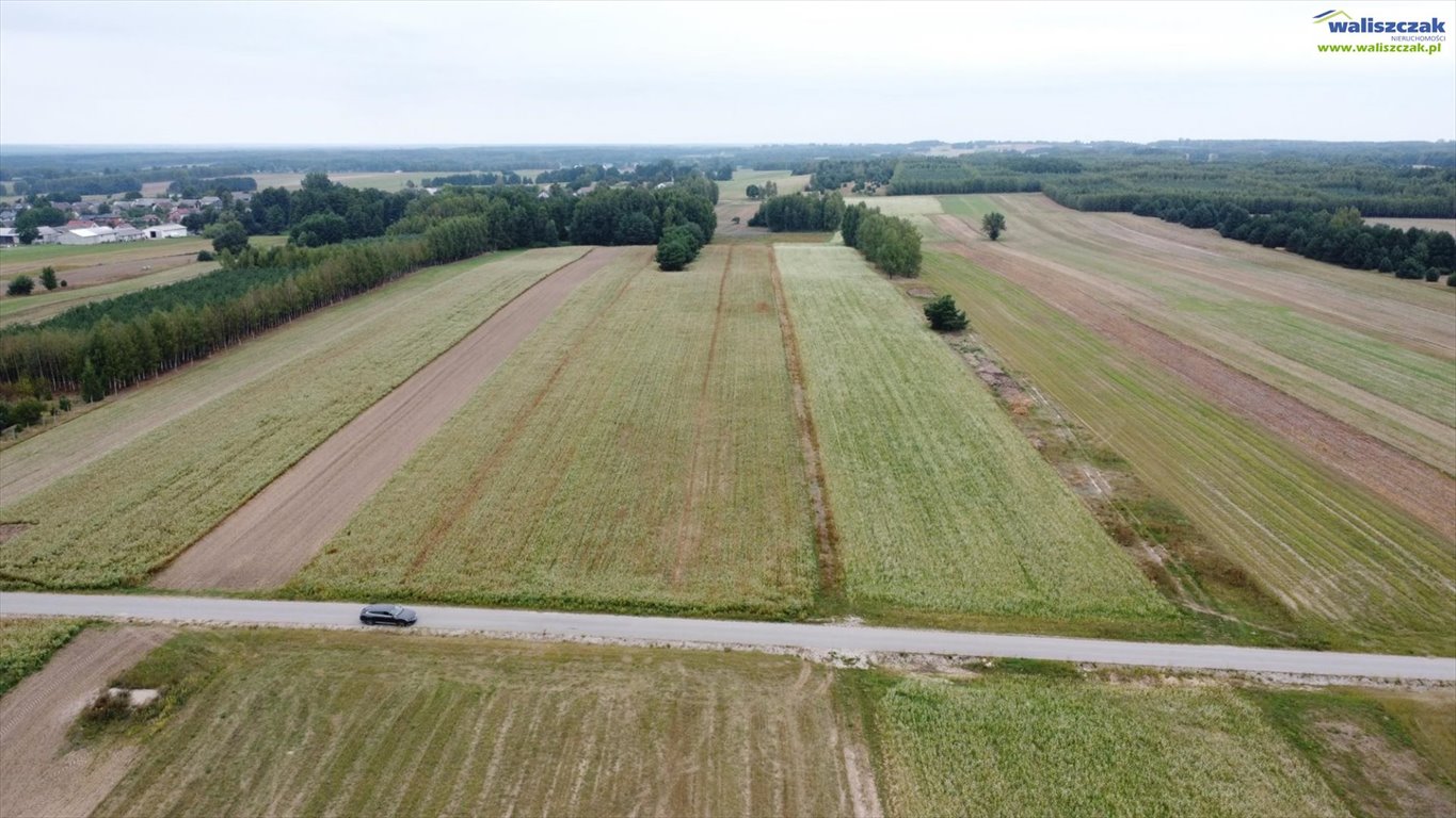 Działka rolna na sprzedaż Nowy Reczków  9 500m2 Foto 1