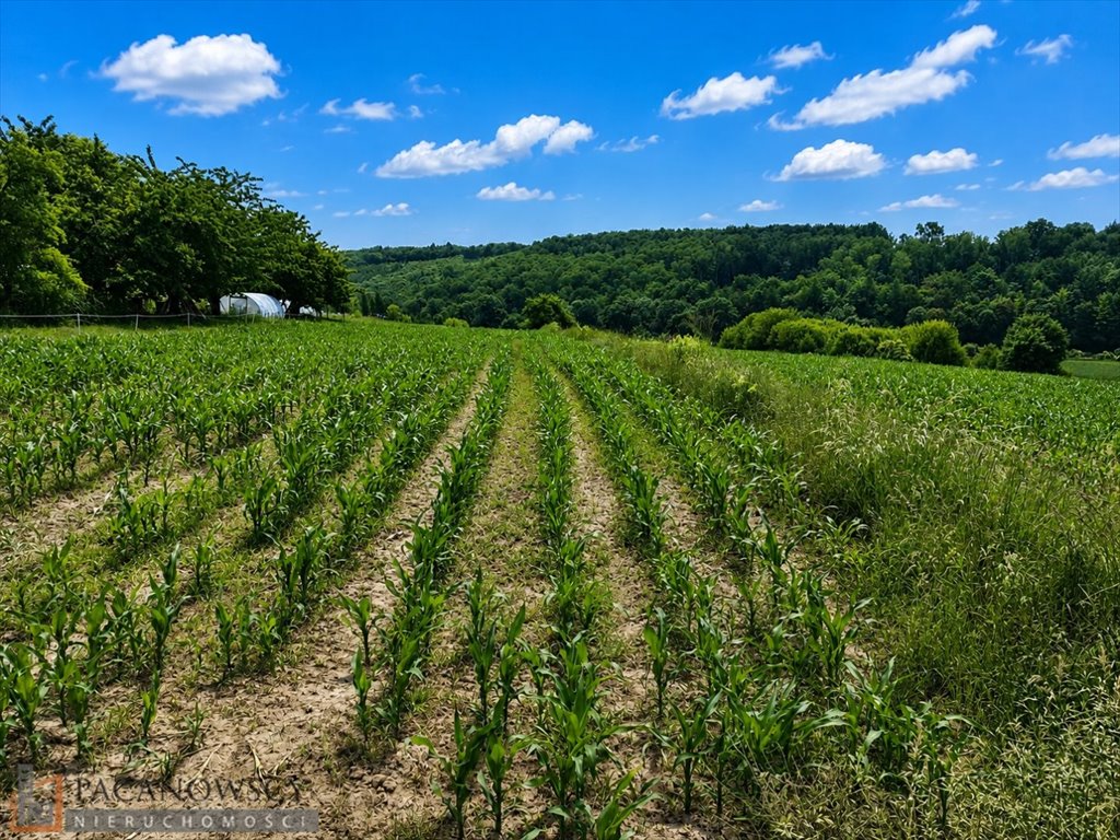 Do sprzedania działka bud.-rolna 1,08 ha z mediami w Michałowicach Zerwana  11 000m2 Foto 1