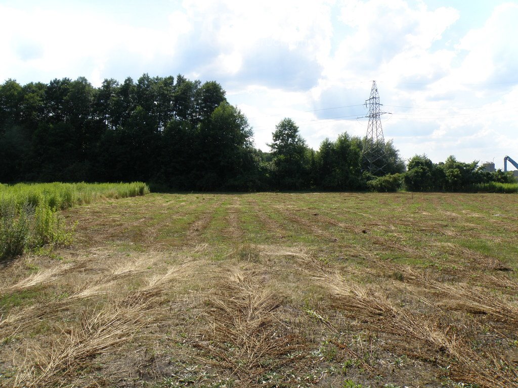 Działka budowlana na sprzedaż Czarne Błoto  1 769m2 Foto 4