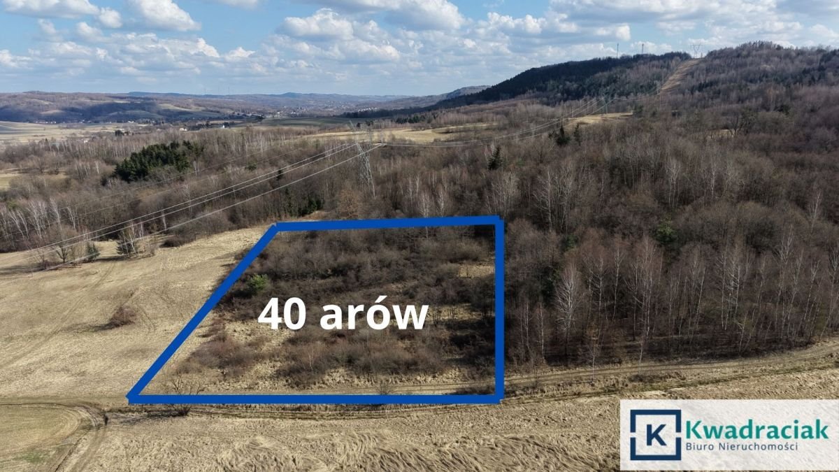 Działka rolna z widokiem, lasem i spokojem – 40 arów Lutcza  4 000m2 Foto 1