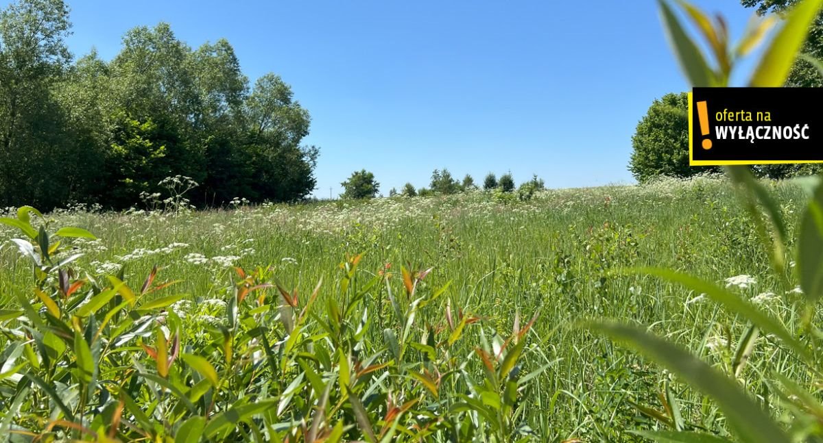 Działka budowlana na sprzedaż Rembów  4 990m2 Foto 3