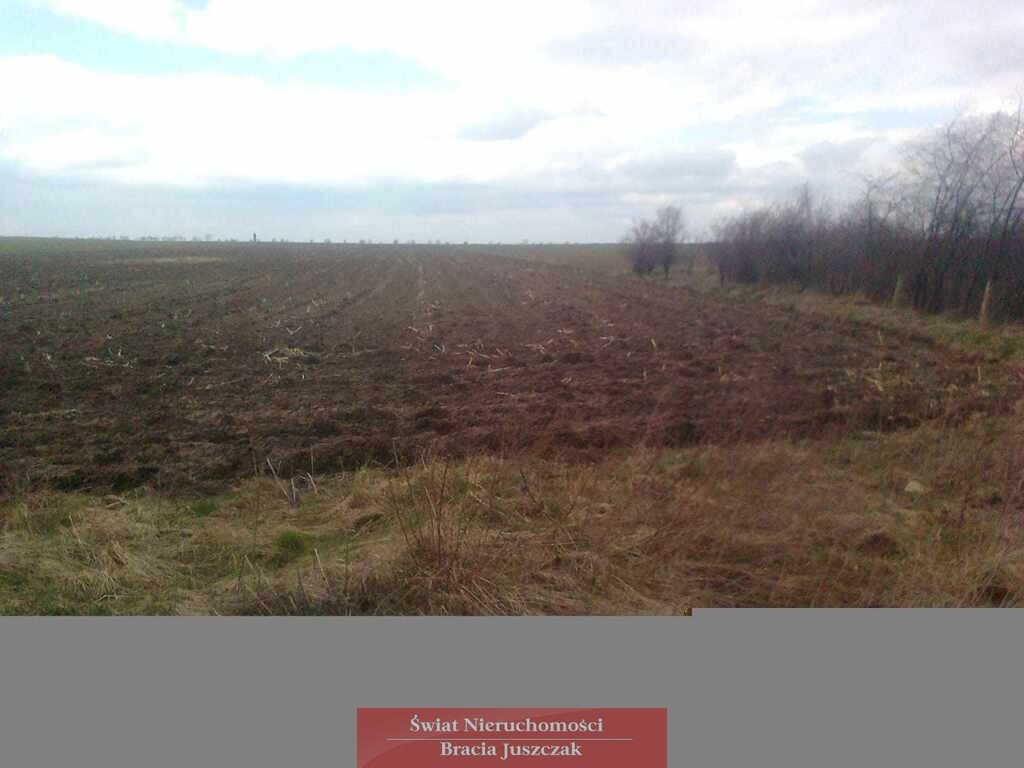 Działka 3000 m² pod zabudowę jednorodzinną, media w drodze Osiek  3 000m2 Foto 1