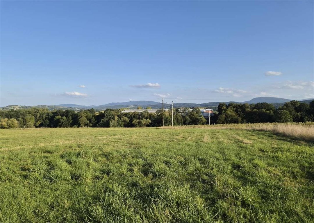 Do sprzedania działka 1136 m² z panoramicznym widokiem na góry: Lubomierz