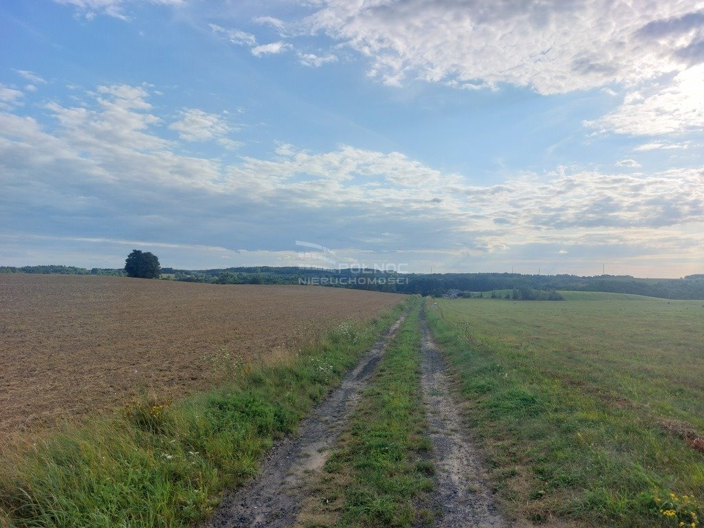 Działka budowlana na sprzedaż Stare Kiejkuty  3 113m2 Foto 2