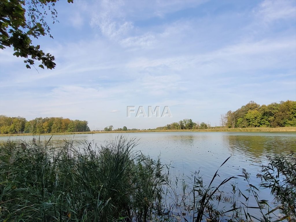 Mieszkanie trzypokojowe na sprzedaż Chełmica Duża  74m2 Foto 17