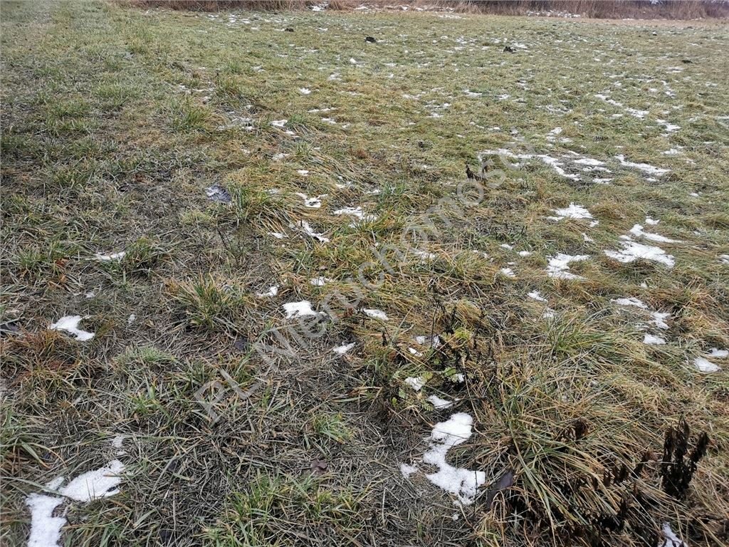 Działka budowlana na sprzedaż Sokołów  4 870m2 Foto 1