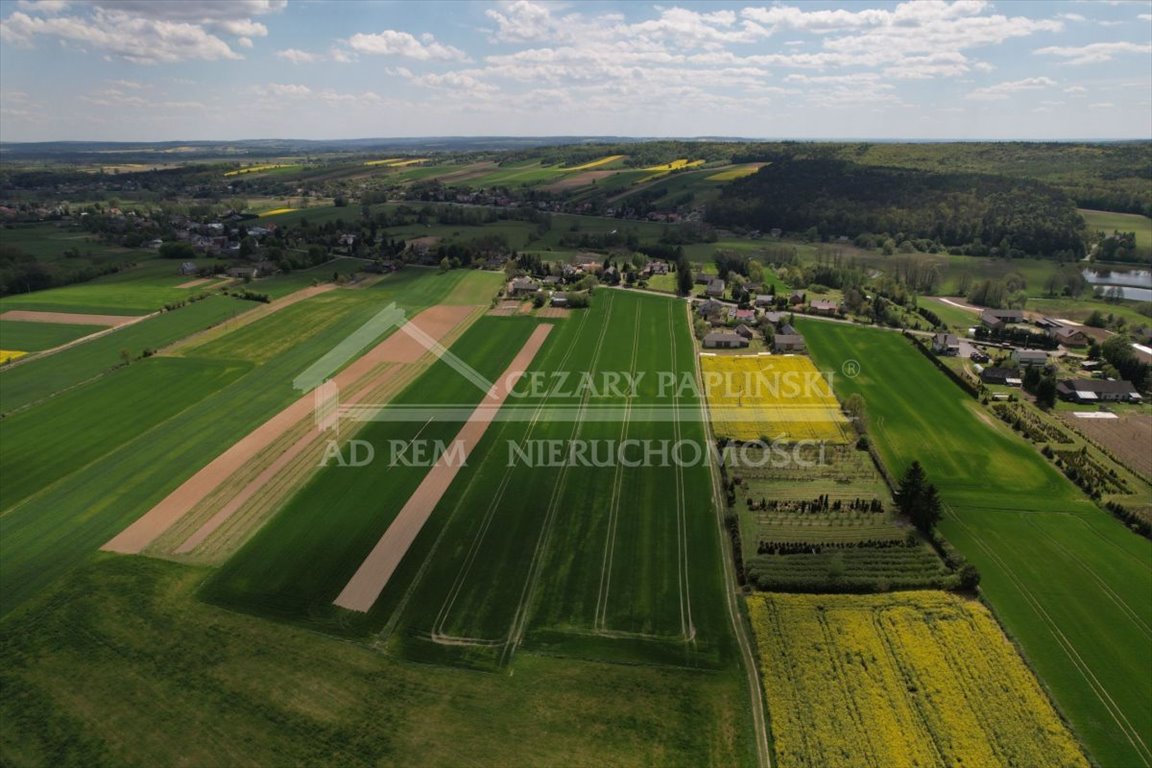 Działka budowlana na sprzedaż Niemienice, Niemienice  19 500m2 Foto 2