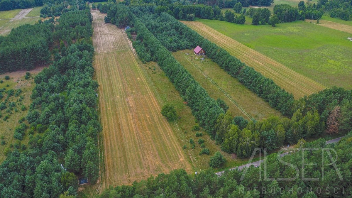 Działka rekreacyjna na sprzedaż Michałowo  4 818m2 Foto 2