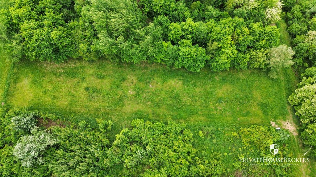 Działka budowlana na sprzedaż Zakrzów  1 730m2 Foto 5