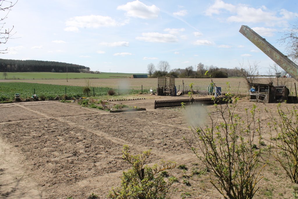 Działka budowlana na sprzedaż Dobieszewo  5 771m2 Foto 1