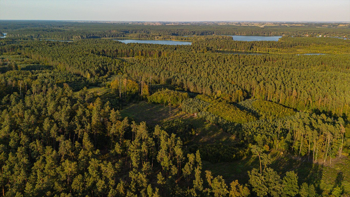 Działka budowlana na sprzedaż Zbiczno, Ciche  1 114m2 Foto 18