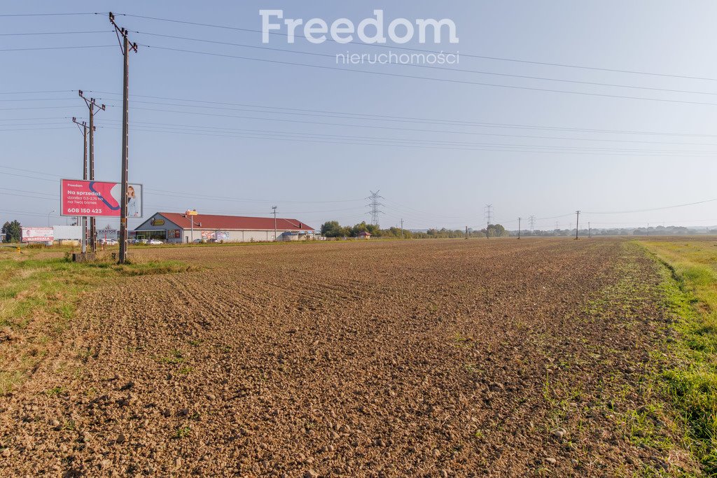 Działka inwestycyjna na sprzedaż Żabno  10 000m2 Foto 7