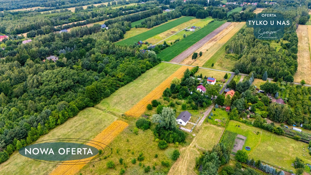 Działka 799 m2 z warunkami zabudowy, las, cisza, blisko Żyrardowa Studzieniec  799m2 Foto 1