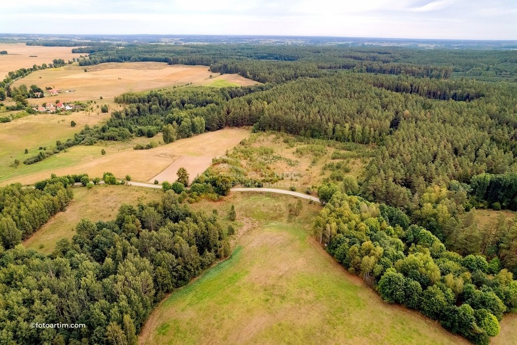 Działka rolna na sprzedaż Elganowo  23 300m2 Foto 7