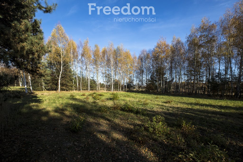 Działka budowlana na sprzedaż Tarnobrzeg, Ocice, Ocicka  2 800m2 Foto 11