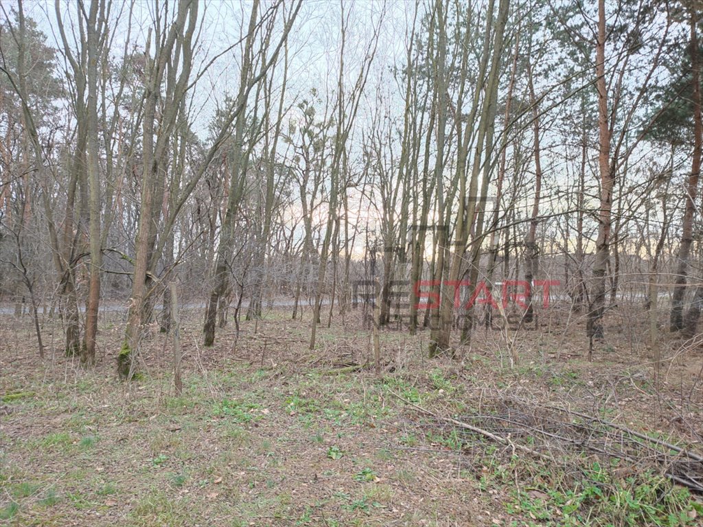 Działka budowlana na sprzedaż Książenice  1 550m2 Foto 3