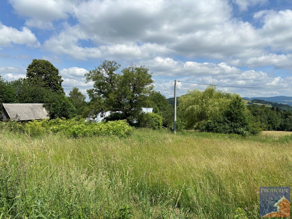 Działka budowlana na sprzedaż Pisarzowa  7 200m2 Foto 18