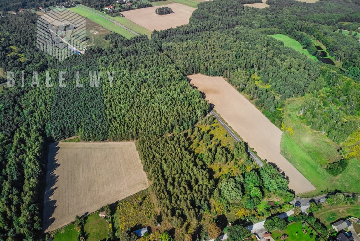 Działka budowlana na sprzedaż Borchówka  78 647m2 Foto 3