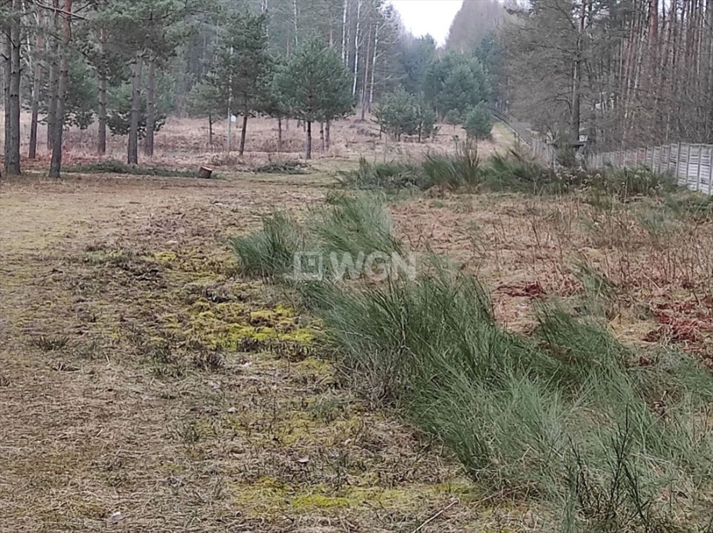 Działka budowlana na sprzedaż Prusicko, Rzędowie, Rzędowie  21 227m2 Foto 6