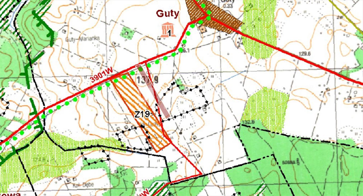 Działka rolna na sprzedaż Guty  26 100m2 Foto 5