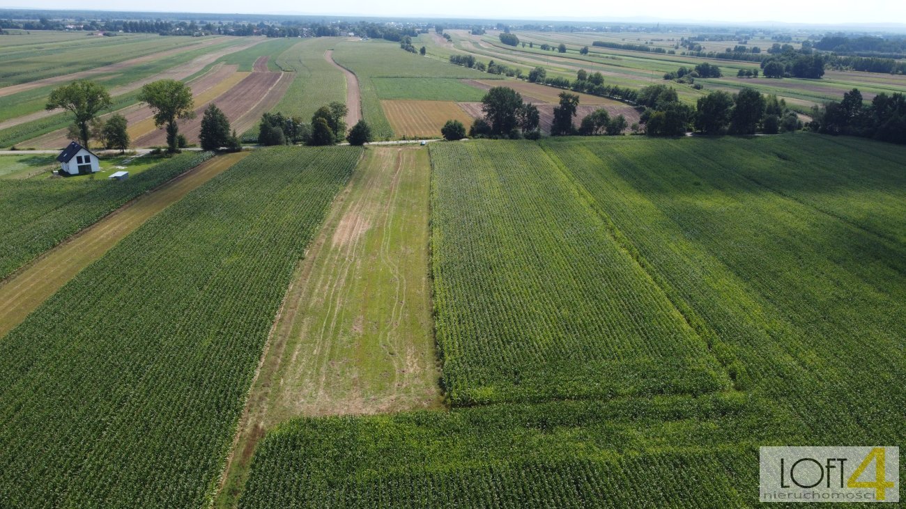 Działka budowlana na sprzedaż Borzęcin  4 400m2 Foto 4