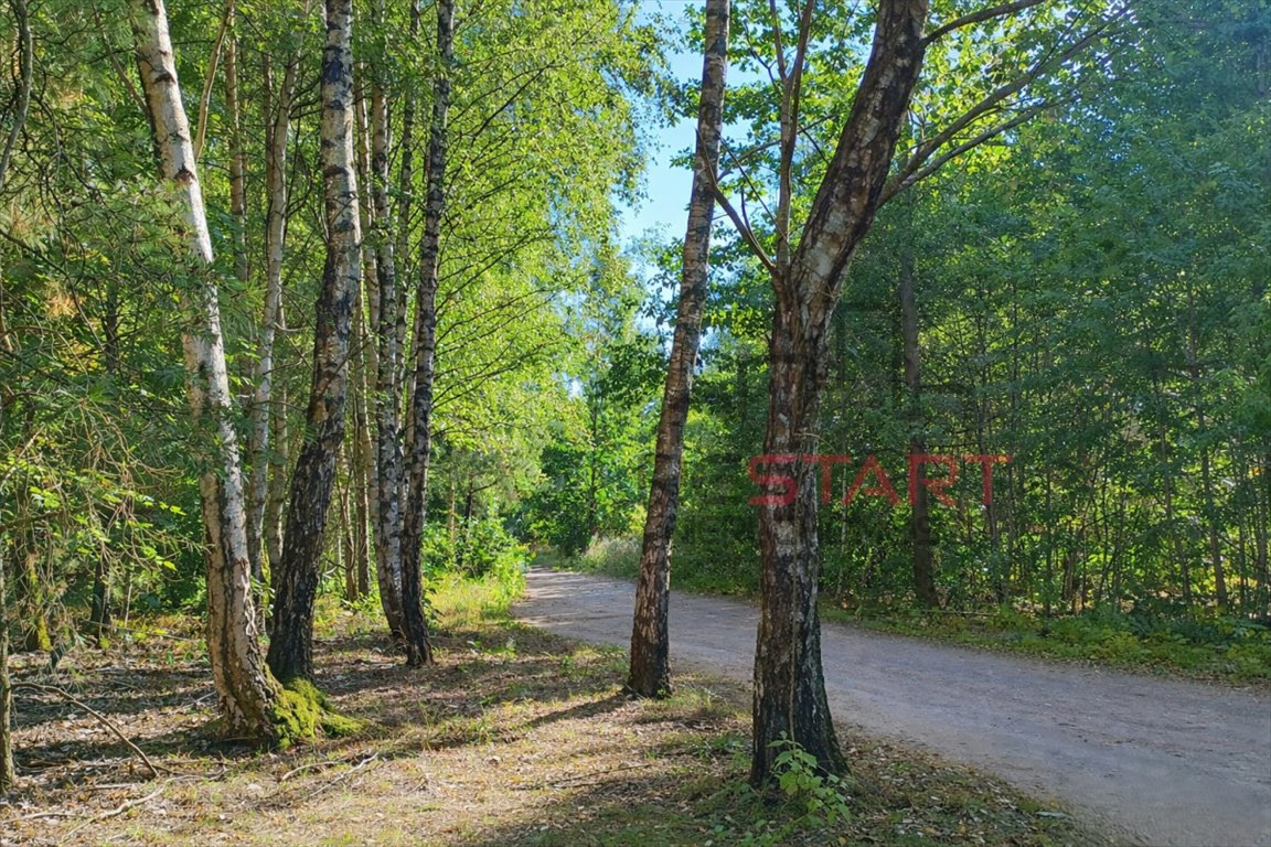 Działka inwestycyjna pod hotel i usługi blisko Suntago Marków-Świnice  14 100m2 Foto 1