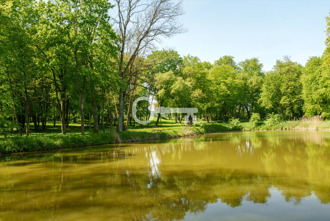 Lokal użytkowy na wynajem Żelechów, Wilczyska  1 300m2 Foto 6