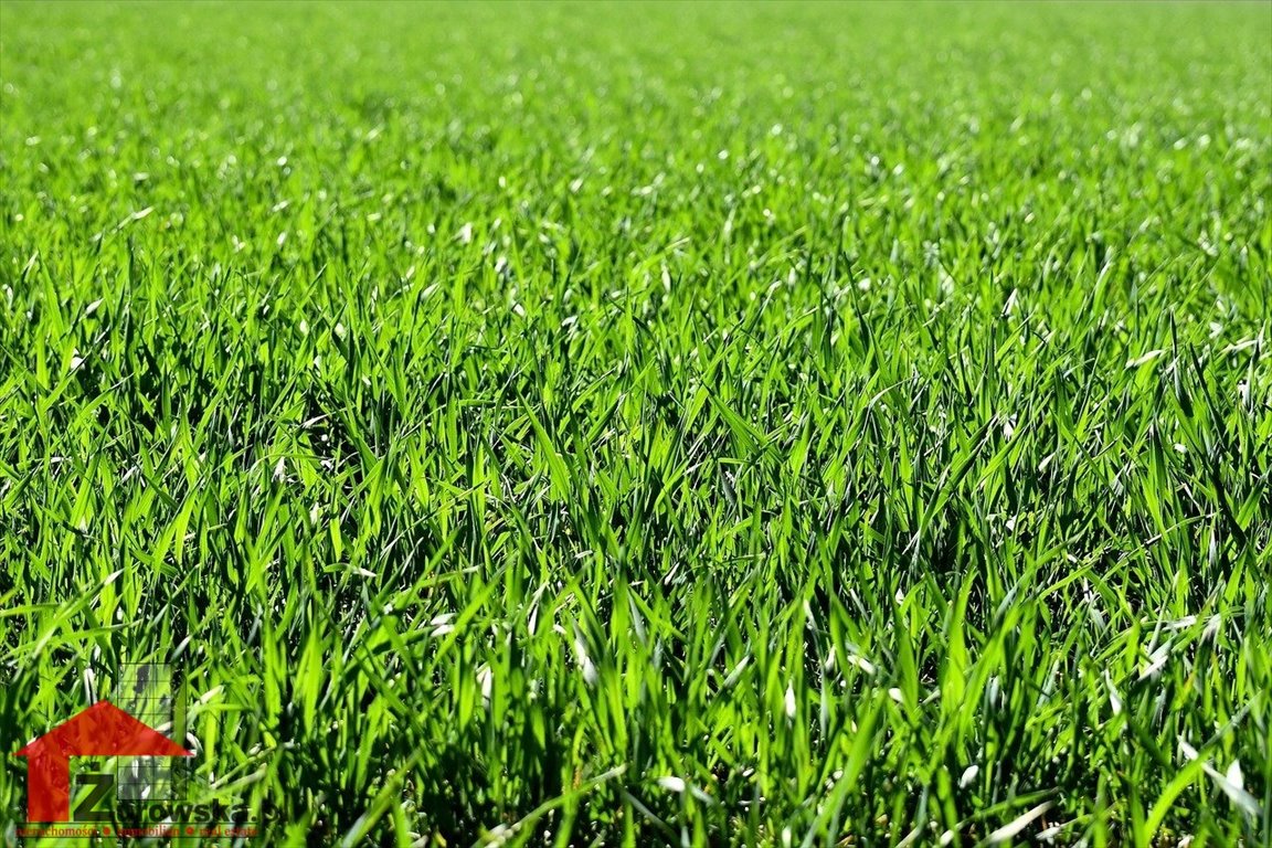 Działka 878 m2 z mediami, możliwość dokupienia sąsiedniej Kędzierzyn-Koźle, Kłodnica  878m2 Foto 1