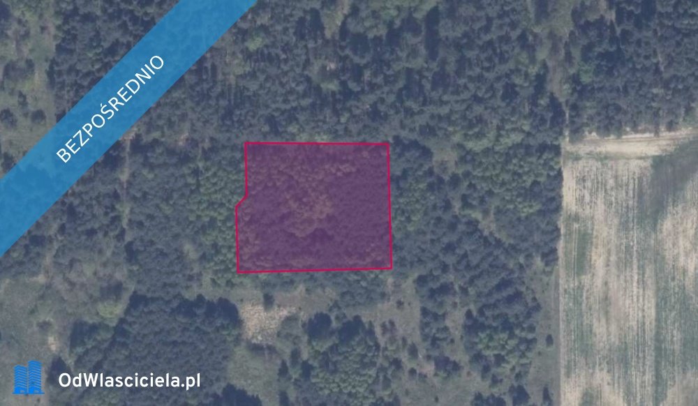 Działka 3913 m² w Granicznej Wsi – bez prowizji! Graniczna Wieś  3 913m2 Foto 1