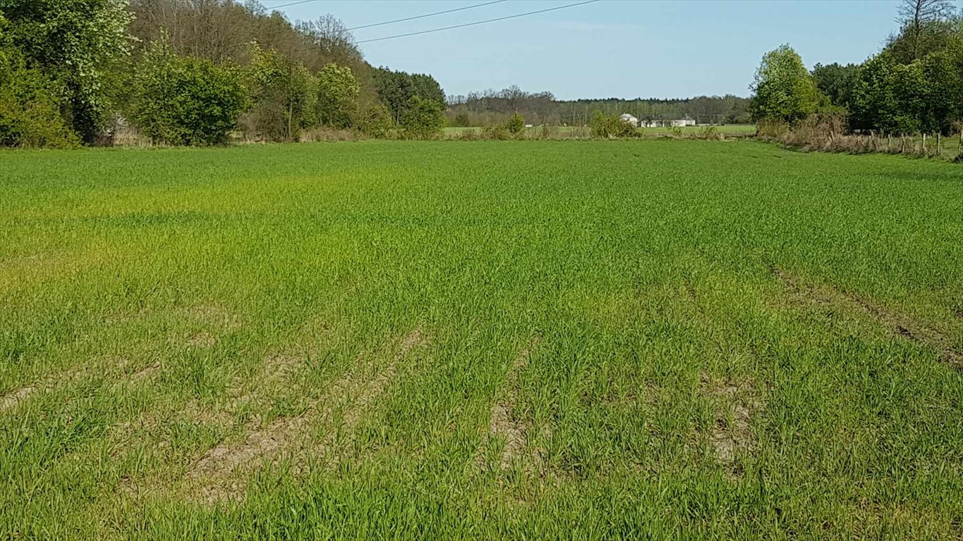 Działka budowlana na sprzedaż Miękiny  1 800m2 Foto 1