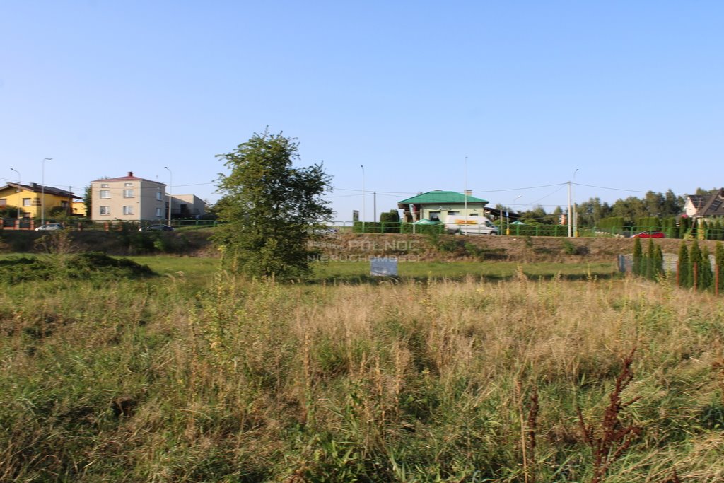 Działka inna na sprzedaż Rzuchów  6 000m2 Foto 6