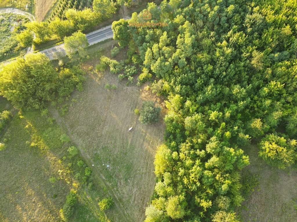 Działka rolna na sprzedaż Nowe Miasto nad Pilicą, Pobiedna, Pobiedna  2 543m2 Foto 5