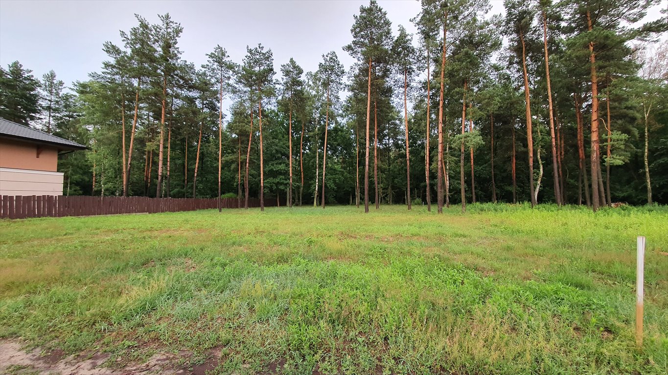 Działka budowlana na sprzedaż Chotomów, Tulipanowa 33  1 350m2 Foto 1
