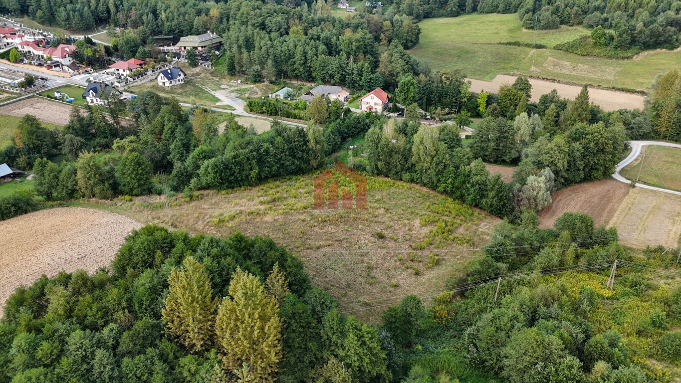 Działka budowlana na sprzedaż Niedźwiada  5 500m2 Foto 1