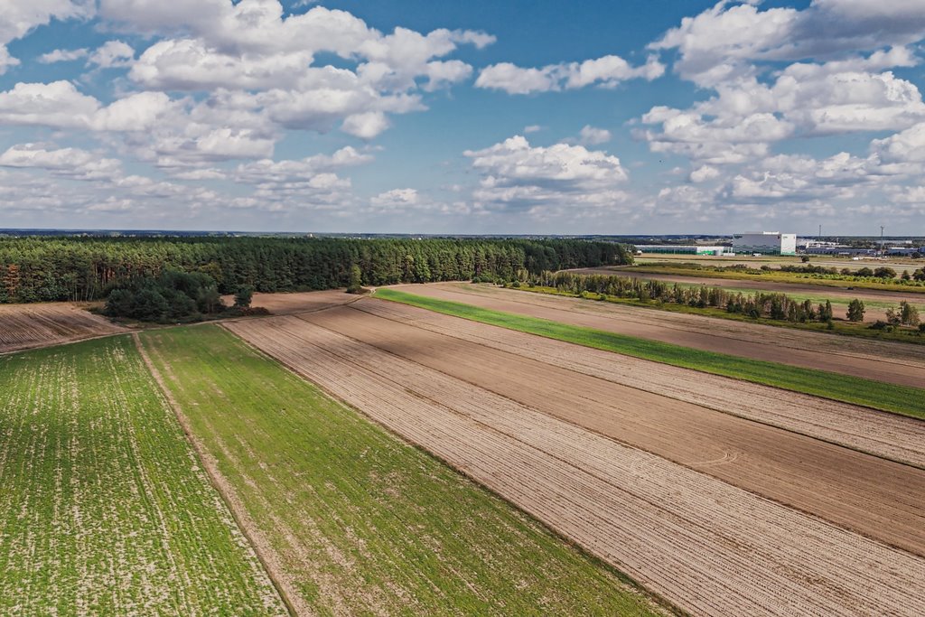 Działka inwestycyjna na sprzedaż Emilianów  11 039m2 Foto 5