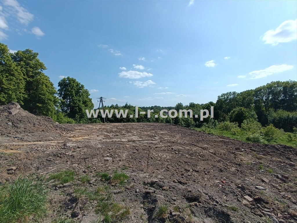 Działka budowlana na sprzedaż Radlin, Biertułtowy, Sokolska  4 120m2 Foto 7