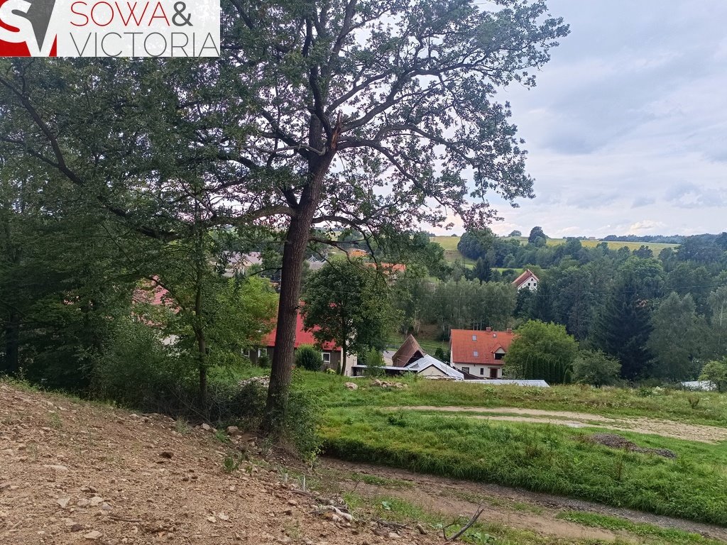 Działka budowlana na sprzedaż Dziećmorowice  6 052m2 Foto 2