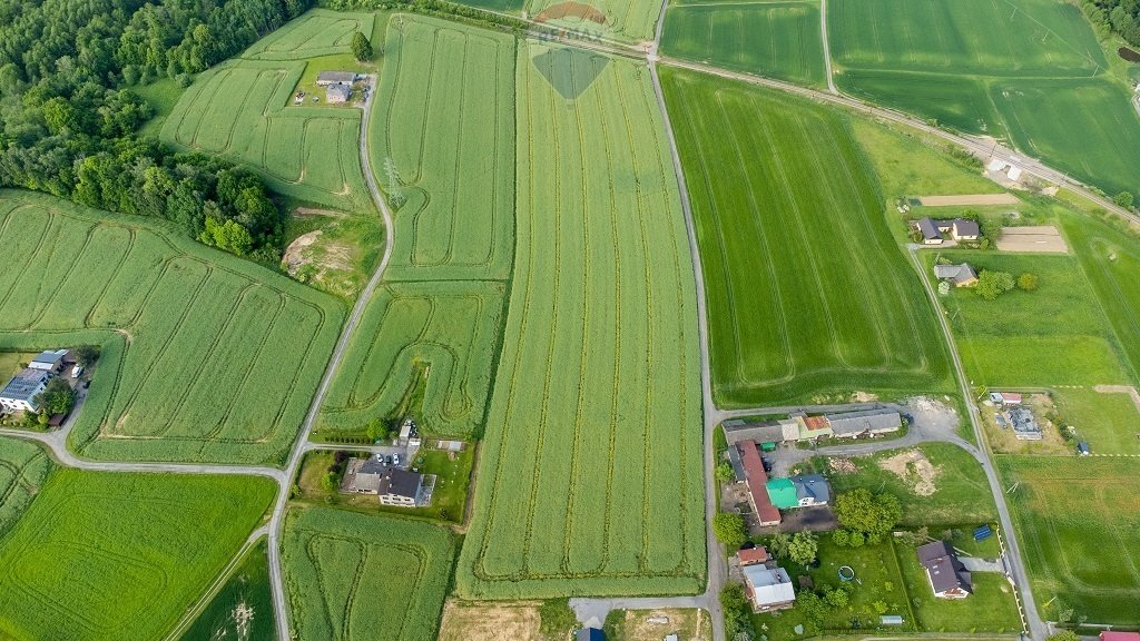 Działka budowlana na sprzedaż Kończyce Wielkie, Miła  1 100m2 Foto 17