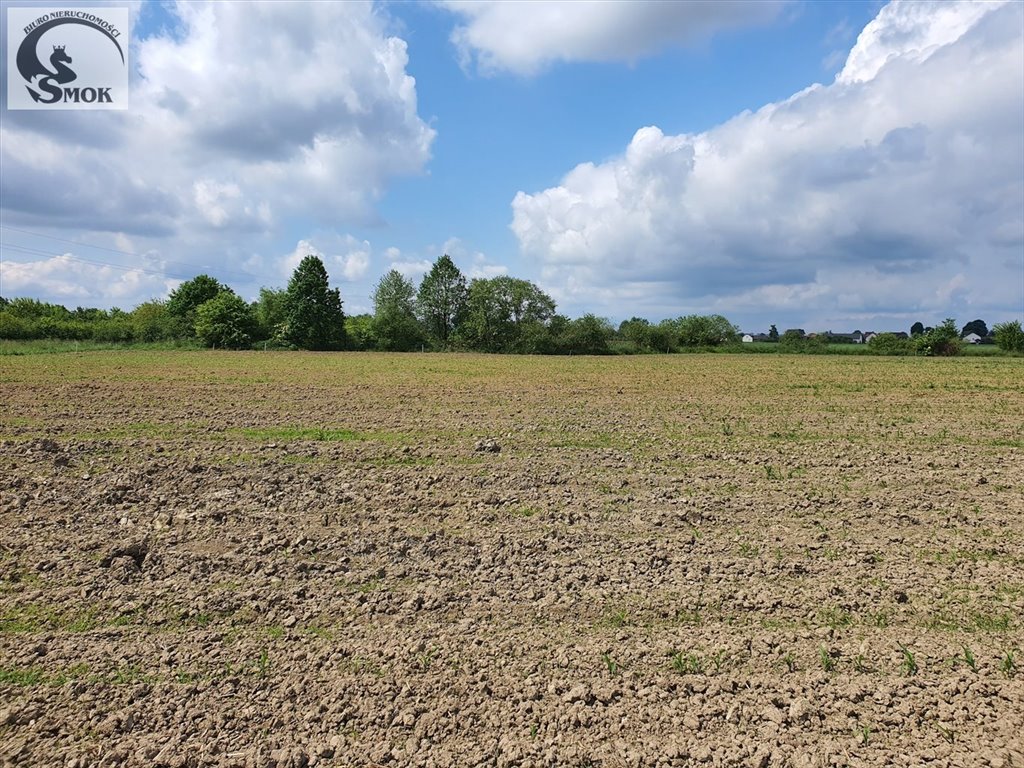 Działka rolna 2600 m² z dostępem do drogi utwardzonej Kłokoczyn  2 600m2 Foto 1